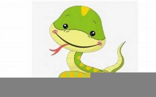 梦见蛇代表什么(梦见蛇代表什么数字)