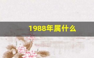 1988年属什么(1988年属什么龙)