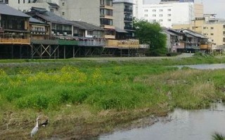 1999年12月9日(1999年12月9日阳历是多少)