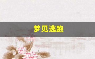 梦见逃跑(梦见逃跑被人追是什么意思)