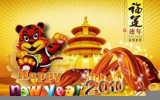2010年虎年 2010年虎年