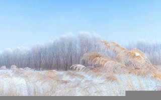 5月3日黄道吉日查询(5月3日黄道吉日查询搬家)