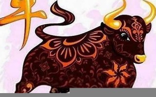 属狗人2022年全年运势运程(属狗人2022年全年运势运程男性)