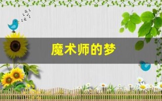 魔术师的梦(魔术师的梦幻之旅中文版)