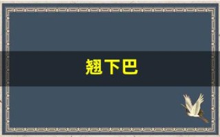 翘下巴(翘下巴面相)