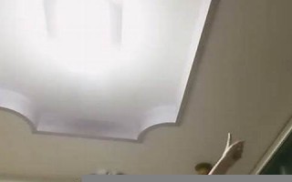 3月12(3月12日的英文)