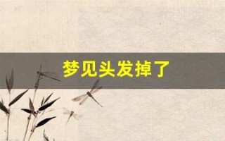 梦见头发掉了(梦见头发掉了一小撮)