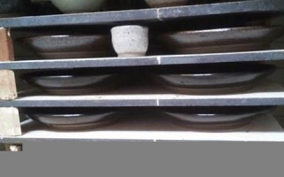 7月06日(7月06日 翻译)