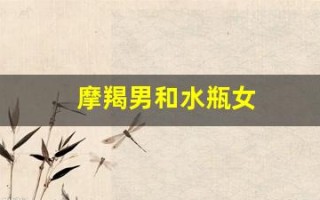 摩羯男和水瓶女(摩羯男和水瓶女星座配对)