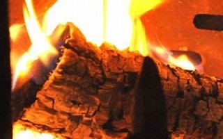 2011年10月31日(2011年10月31日世界人口总数已达多少亿)