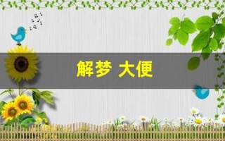 解梦 大便(解梦 大便拉床上)