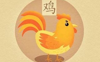 1981年属鸡的人2013年运程(81年属鸡2011年运势)