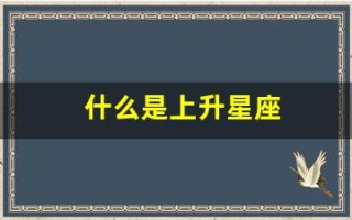 什么是上升星座(测算自己的上升星座)