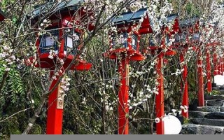 4月5日(4月5日出生的女孩好不好)