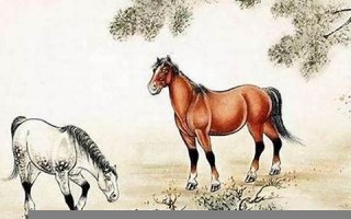 属马(属马的年龄表一览表)