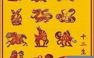 一生好胜是什么生肖(一生好胜猜生肖)