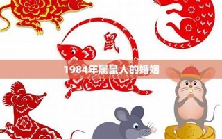 属鼠人的婚姻与命运(属鼠人的婚姻与命运相配吗)