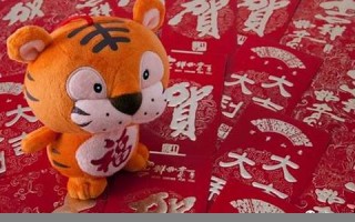 属虎2019年运势(属虎2019年运势及运程丢钱)