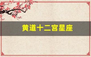 黄道十二宫星座(黄道十二宫星座排位)