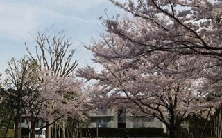 2016年4月1日(2017年4月1日是星期几)
