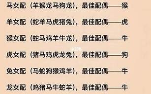 十二生肖配对算命(十二生肖相配婚姻配对表)