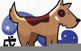 属狗人2013年运势(属狗人2024年全年运势 女性)