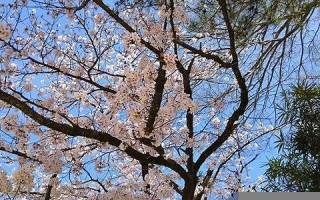 2022年1月18日黄道吉日(2021.1月18日的黄道吉日)