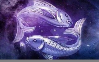 属鸡人的婚姻与命运(属鸡人的婚姻与命运1993年的)