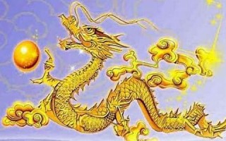 属龙人2023年运势(属龙人2023年运势1988)