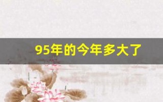95年的今年多大了(95年的今年多大了虚岁)