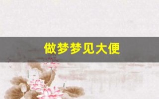 做梦梦见大便(梦见自己大便拉了很多屎)