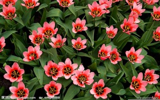 2011年1月11日(2011年1月11日多少岁)