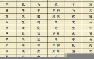 99年属什么的生肖(1999年属什么的生肖)