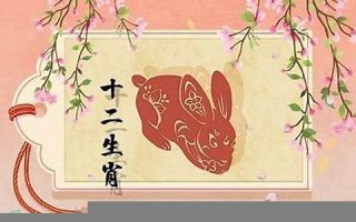 属兔的几月出生好(属兔的几月出生好运势网)