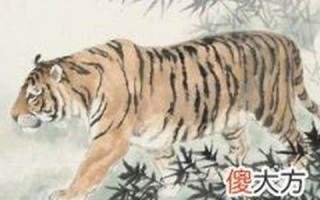 98年属什么(98年属什么的生肖多大了2023)