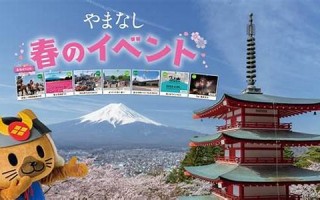 6月17(6月17号是什么日子)