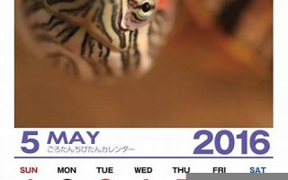 5月16日(2000年5月16日)