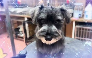 8月9日(2022年8月9日)