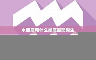 水瓶座和什么座最配