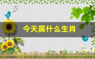 今天属什么生肖(今天属什么)