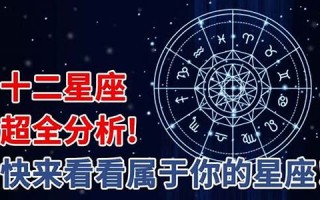 星座性格(娵訾星座性格)