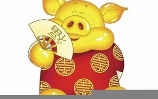 2013年属猪人的运势(猪13年相当于人多少岁)