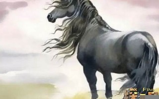 属马2022年的运势(属马2022年的运势及运程每月)