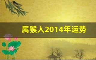 属猴人2014年运势(属猴人2025年全年运势运程)