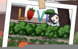 男神测试(神的测验)