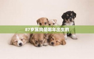 属狗是哪年出生的(属狗是哪年出生的1982)