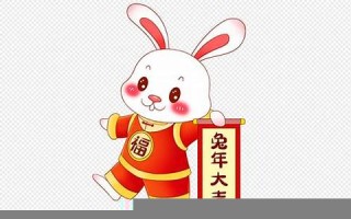 2023年兔年(2023年兔年属于金木水火土哪个命)