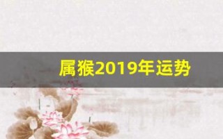 属猴2019年运势(属猴2019年运势怎么样)