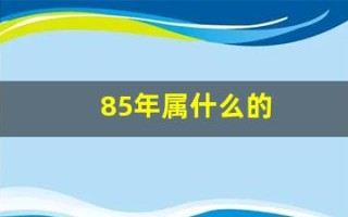 85年属什么的(1988年的属什么)