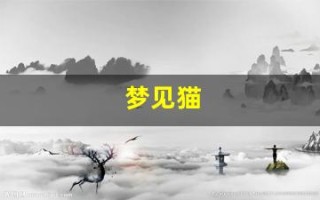 梦见猫(赶都赶不走)